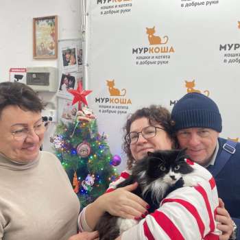 Мулан 