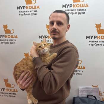 Мультяшкин