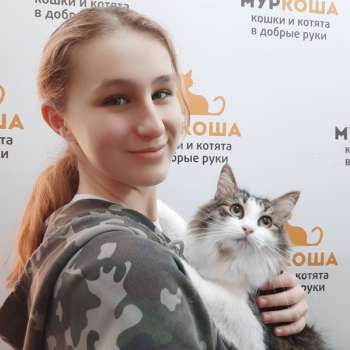 Нежа