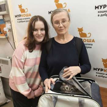 Пельменька 