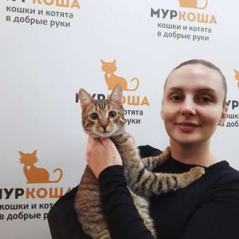 Плутончик