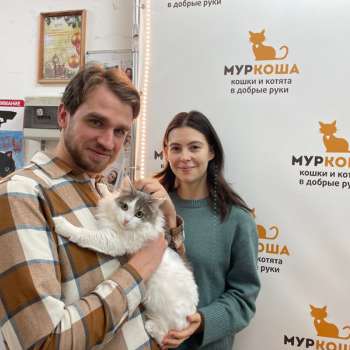 Поларис