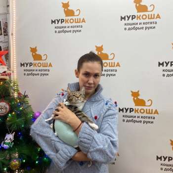 Поликсена