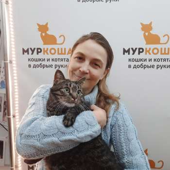 Помпей