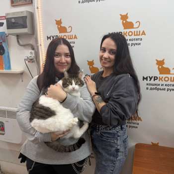 Рукавичка