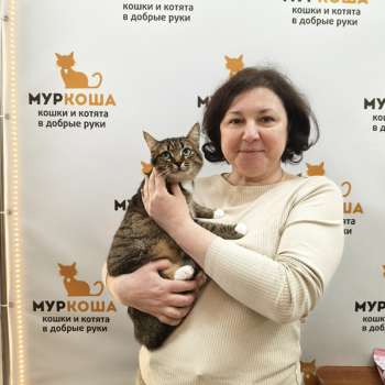 Смартик