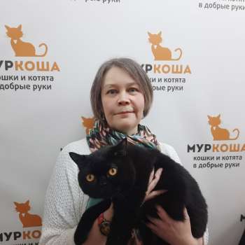 Спок