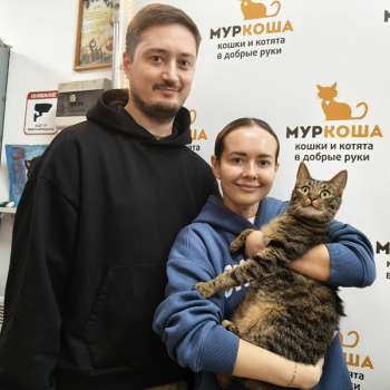 Спринтер