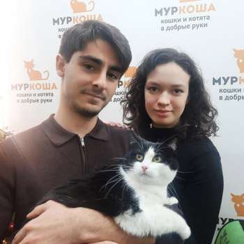 Тулуза