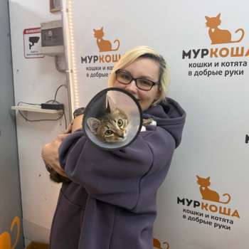 Вакула
