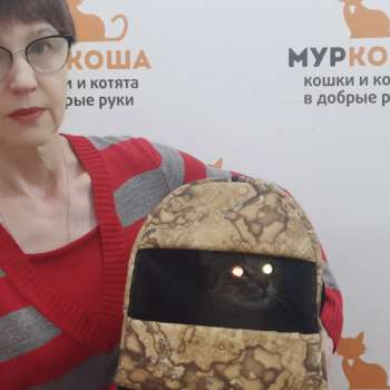 Валенсия