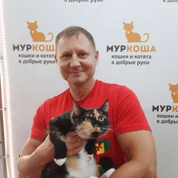 Вионне