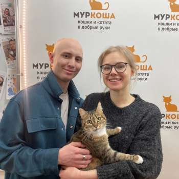 Зефирони