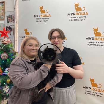 Жучок