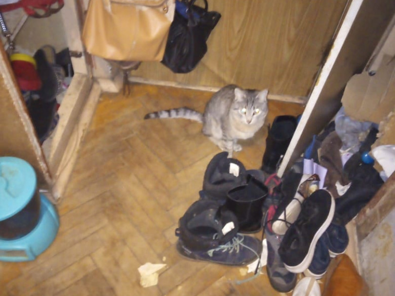 Тальва