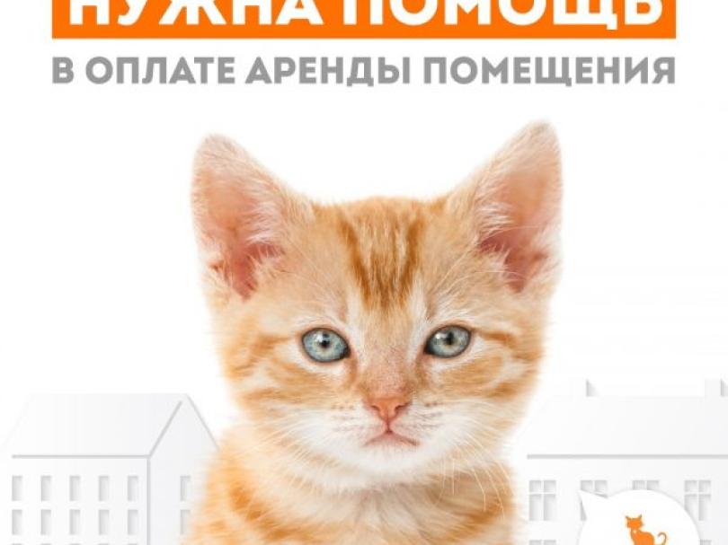 Аренда