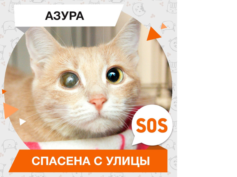 Азура