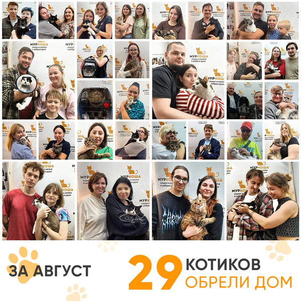 Итоги работы Центра в августе 2026 года. 