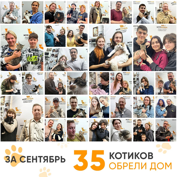 Итоги работы Центра в сентябре 2026 года.