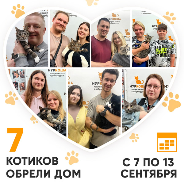 Итоги работы Центра с 7 по 13 сентября 2026г. 